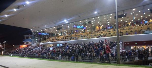 Preview: Saturday evening Cork - Irish Greyhound Laurels R2