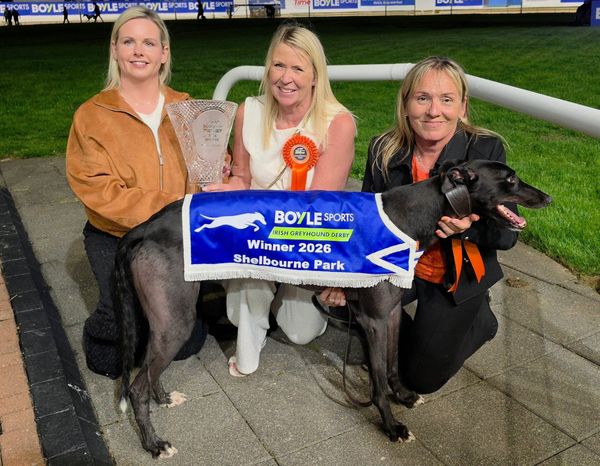 Bockos strikes Irish Derby gold as Holland extends his own record