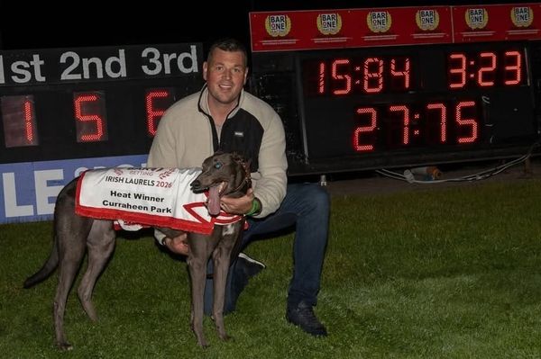Record-breaker Setanta now 11/4 for Curraheen Irish Laurels glory