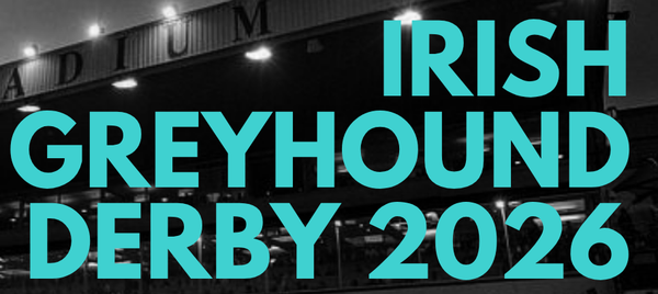 All the stats that matter from the 1/4 finals of the Irish Derby
