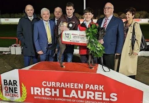 2026 Irish Greyhound Laurels is launched at Curraheen Park