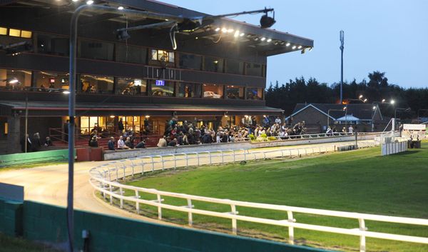 Gambet, Geordiepav are bet365 favs for Donny's Puppy Derby