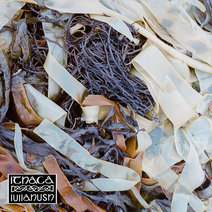 Sunday Evening Jukebox...