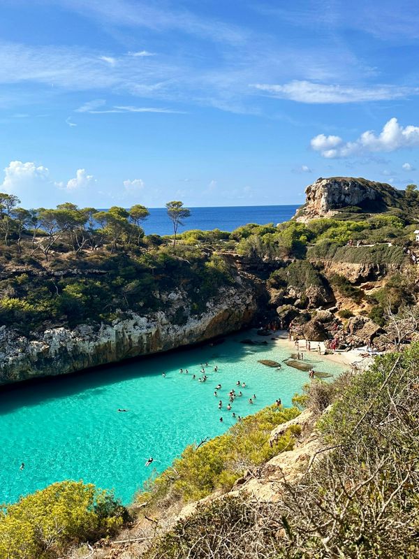 A turquoise cove framed by pine trees on the Mallorca coast in summer