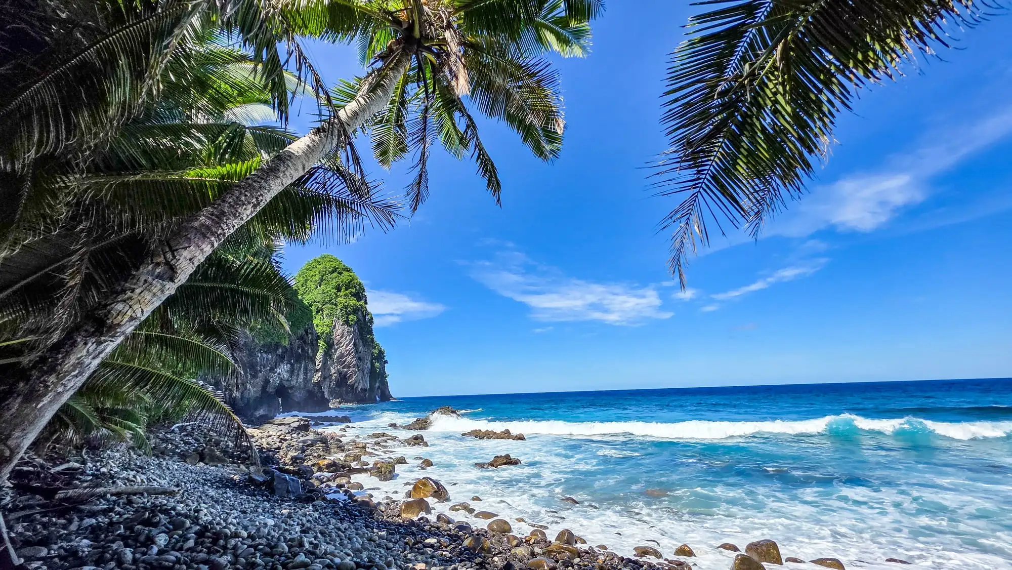 Rocky coastline with palm trees and turquoise waves at Eric's 63rd national park, featuring volcanic cliffs and tropical beach