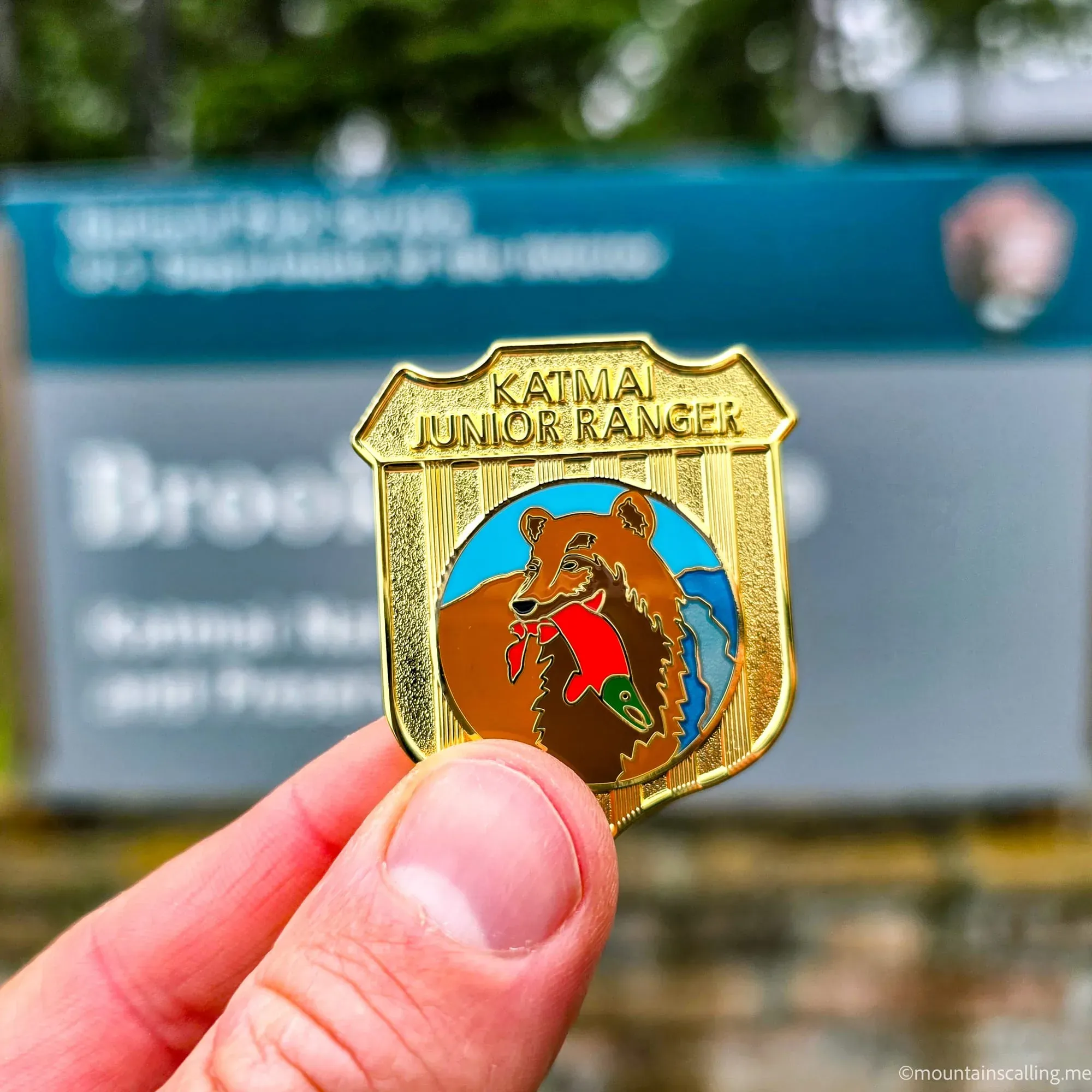 Hand holding golden Katmai Junior Ranger badge featuring brown bear with salmon against blue background