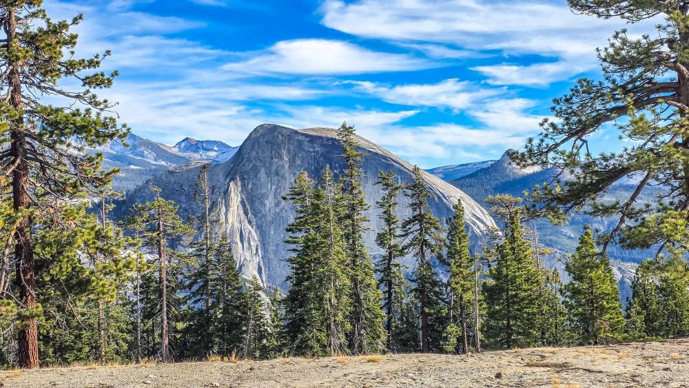 Half Dome viewed through pine trees from granite overlook in Yosemite National Park