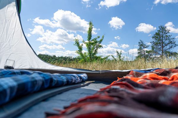 Hantavirus: Síntomas, contagio y medidas de prevención