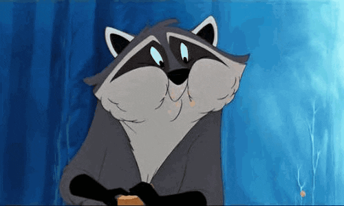 Gif of raccoon eating a biscuit from the animated film pocahontas