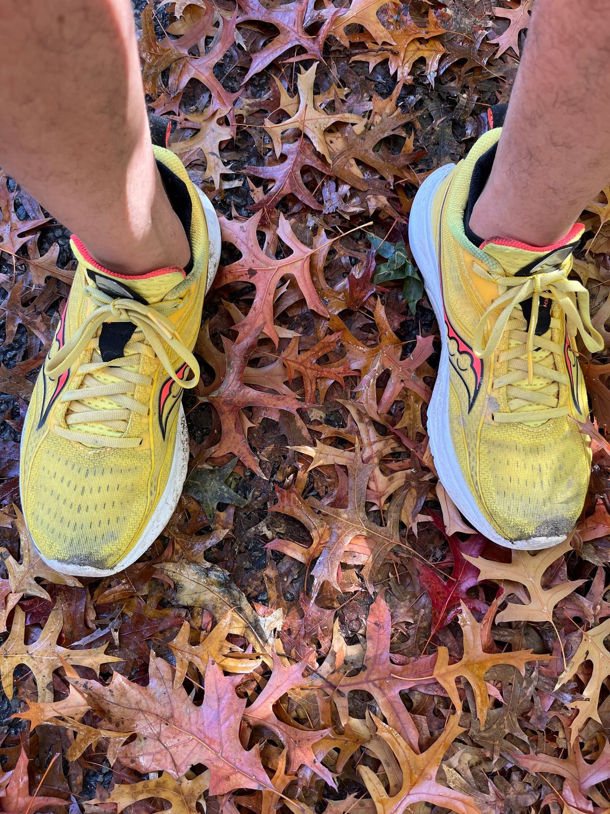 The Next Starting Line