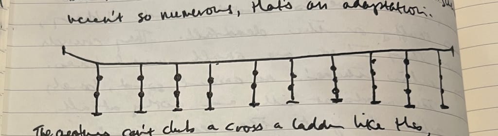 a rope bridge drawn on paper