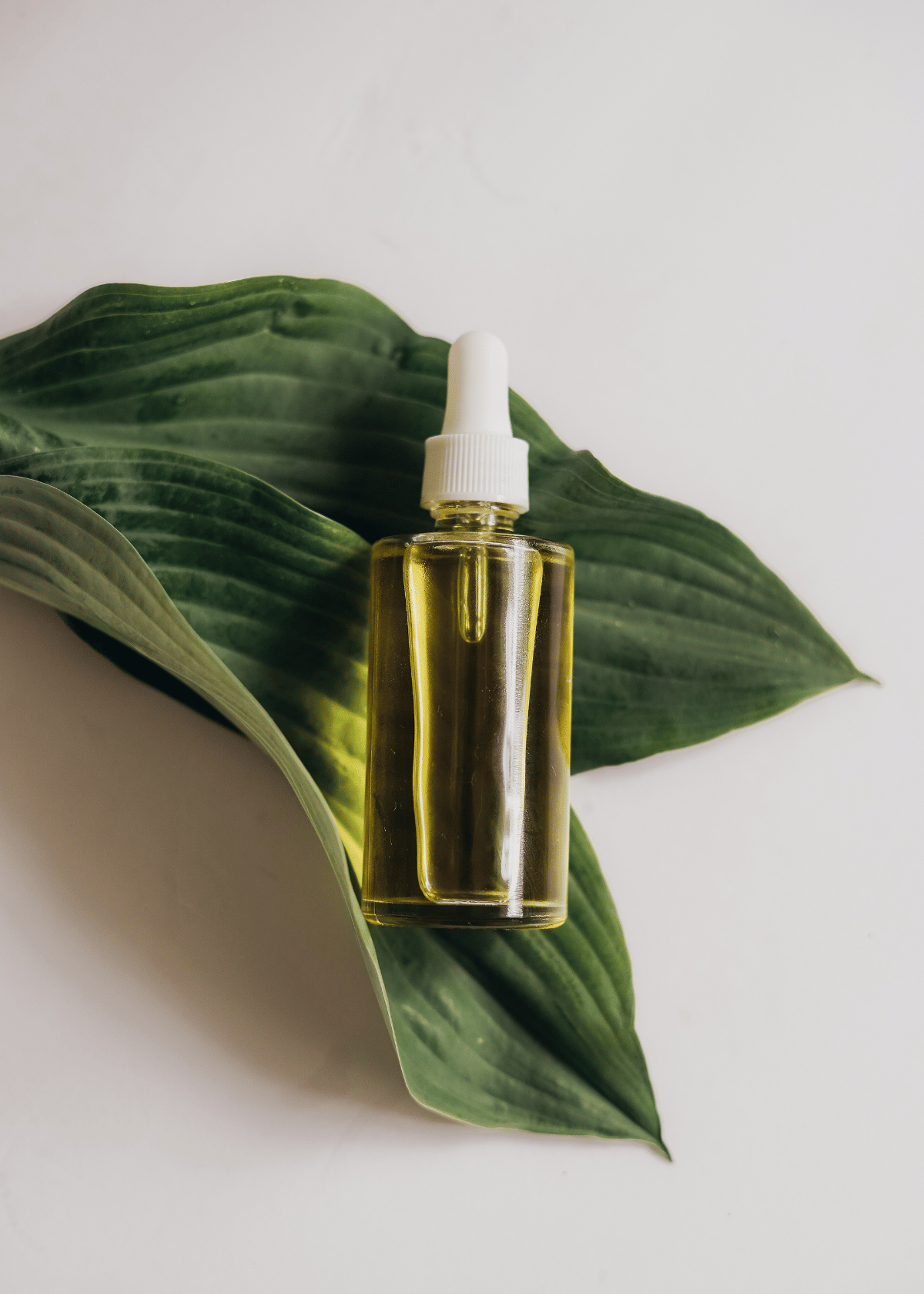 Best Under Eye Serum