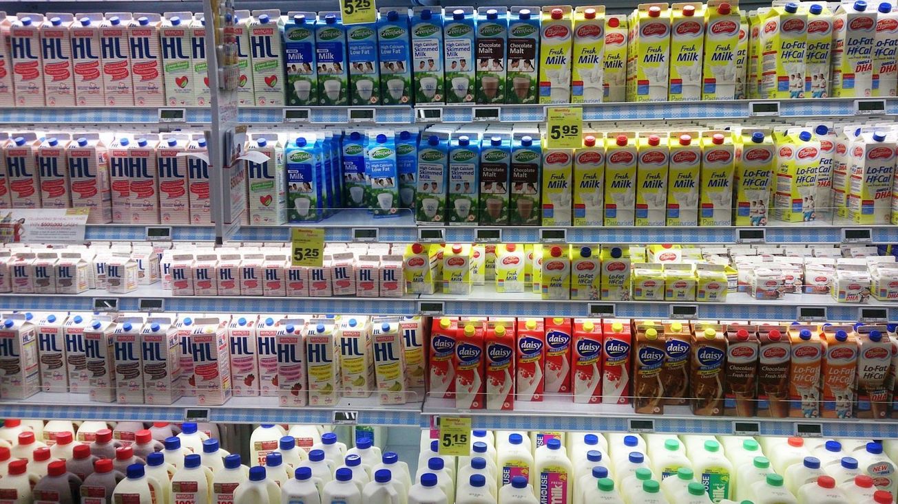 Milk & Dairy Products in 2024: Africa's top business ideas and opportunities