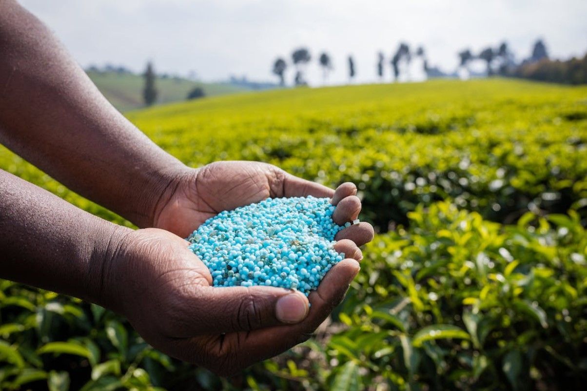 Fertilizers in 2024: Africa's top business ideas and opportunities
