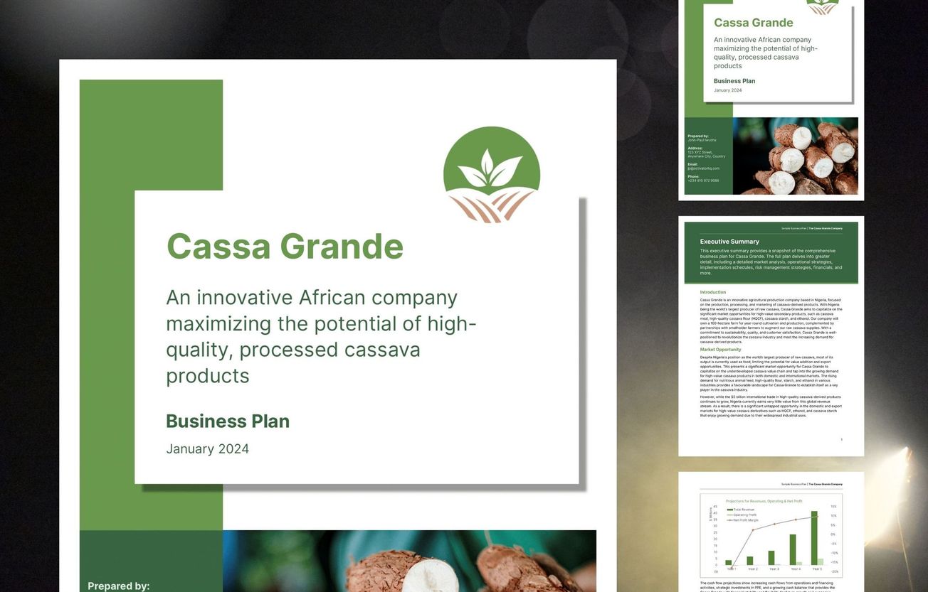 Cassava Products Business Plan: Cassa Grande