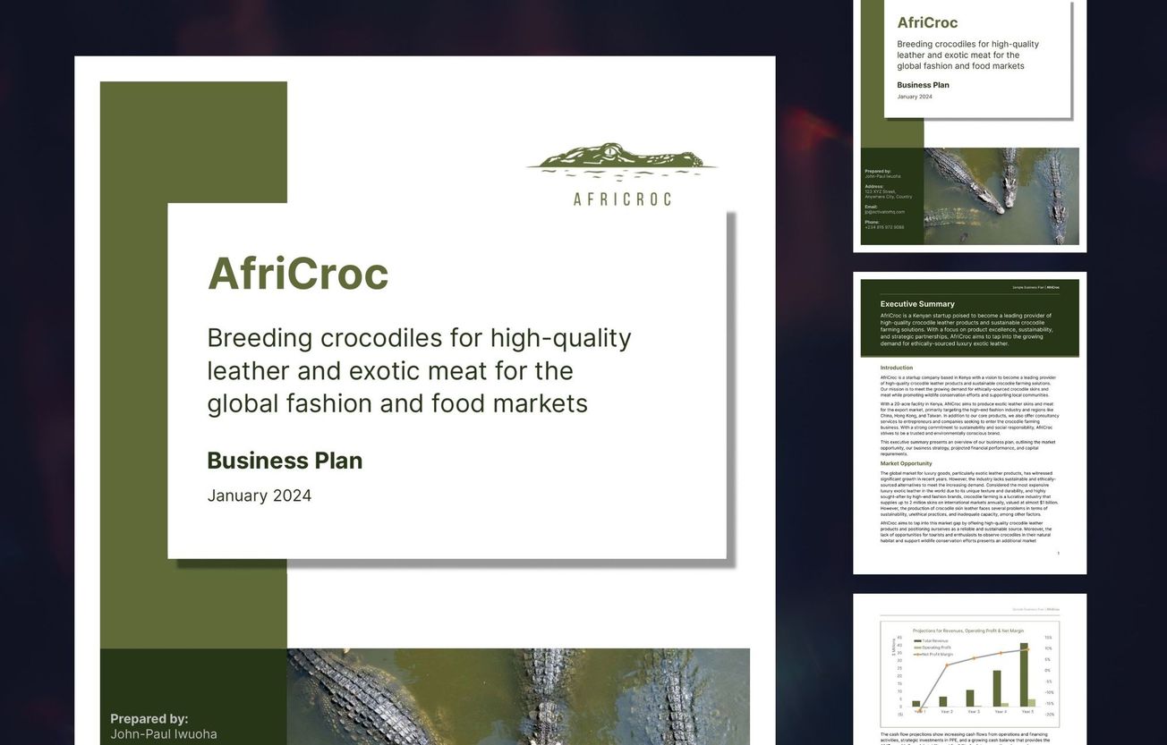 Crocodile Farm & Processor Business Plan: AfriCroc