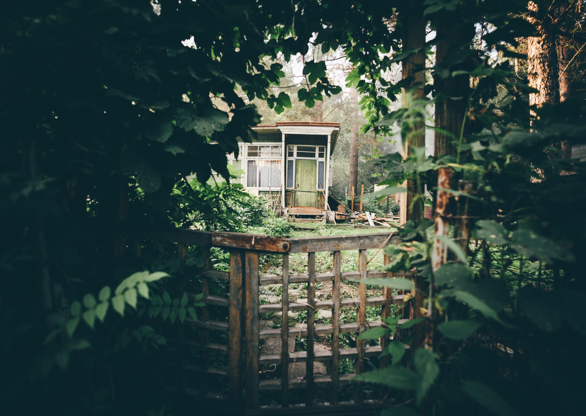 Shelter in the Hollow