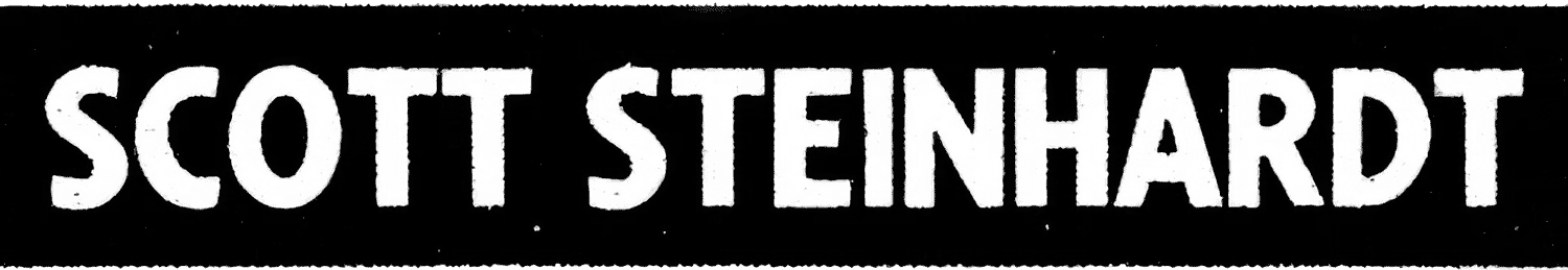 Scott Steinhardt Talks Fine Arts