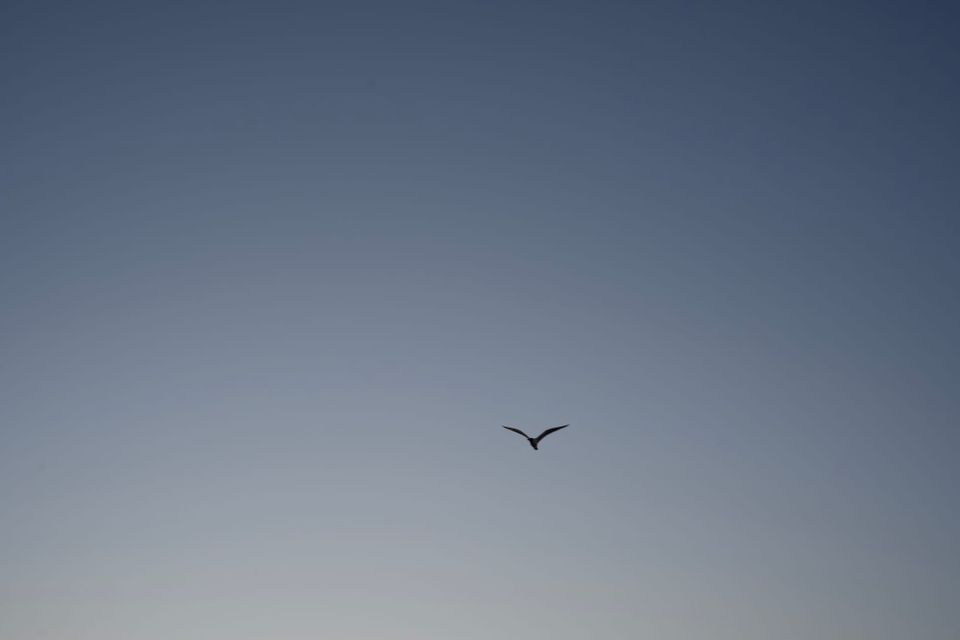 Experiments in Fiction: A Manual Call and Generated Response