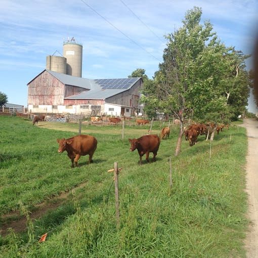 Laepple Organic Farm
