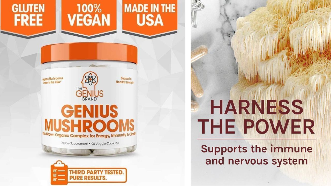 Lion's Mane Mushroom Is A Fantastic Choice For Vegetarians And Vegans Alike!