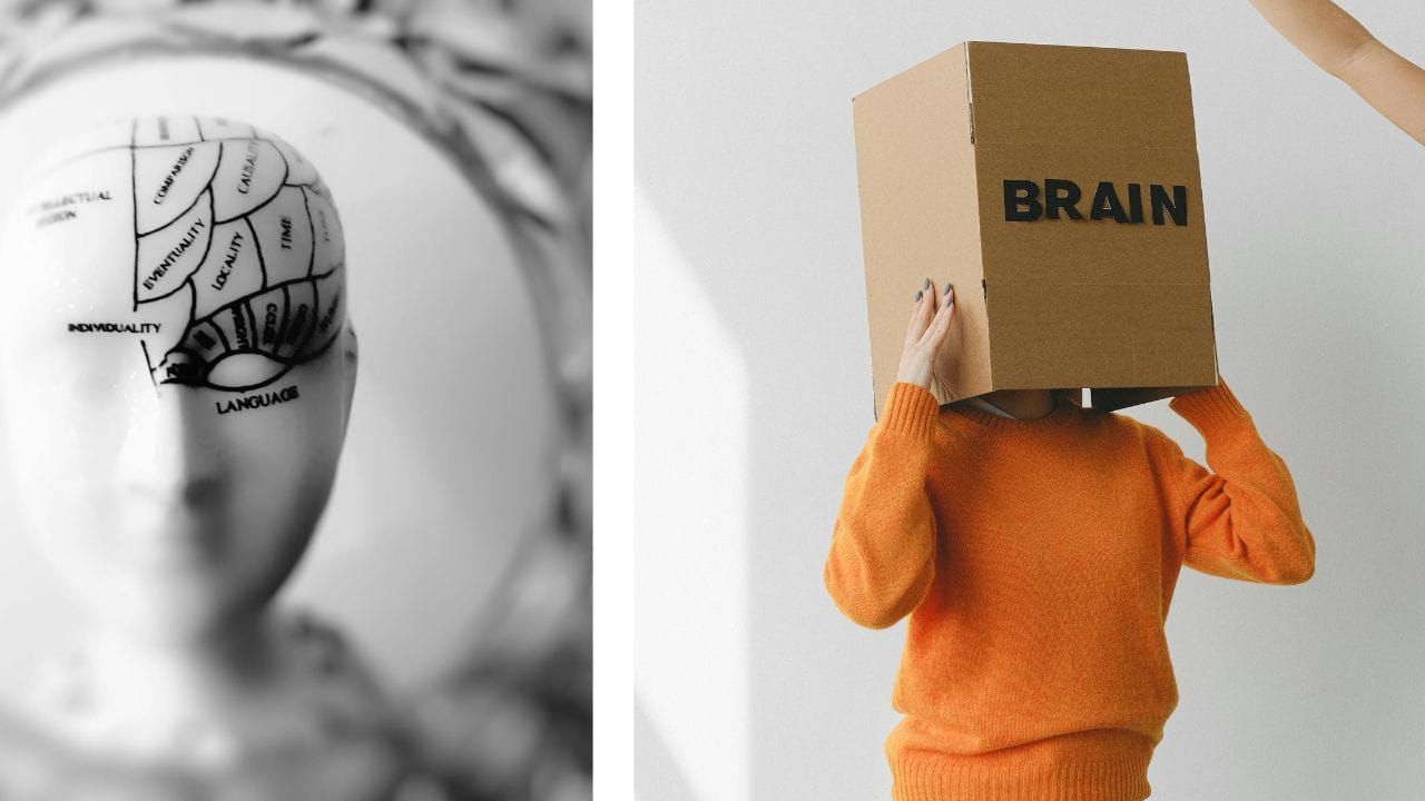 Embark On A Journey to Unlock The Full Potential Of Your Mind With Saffron Supplements!