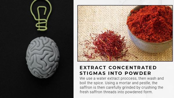 Begin your wellness journey with Saffron Supplements, but be mindful of potential side effects.