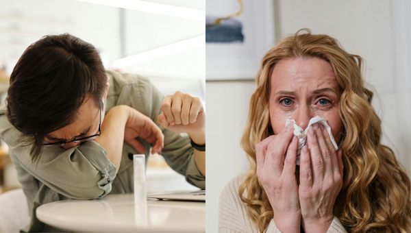 Boost your immunity with Ashwagandha.