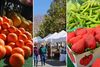 Downtown Farmers Market Moves to New Main Street Location This Saturday