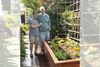 From the Kitchen Garden: June, The Summer Transition Edition