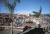 Castle Park at 50