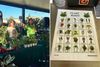 Homegrown: How Two Riverside Plant Lovers Built Plant Bingo