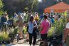 Native Plant Sale and Free Garden Workshops Return to Riverside Nov. 7