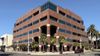 A multistory brick office building with arched entrances, palm trees, and a street-corner sidewalk out front.