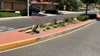 Unapproved beautification project turns into city-wide initiative