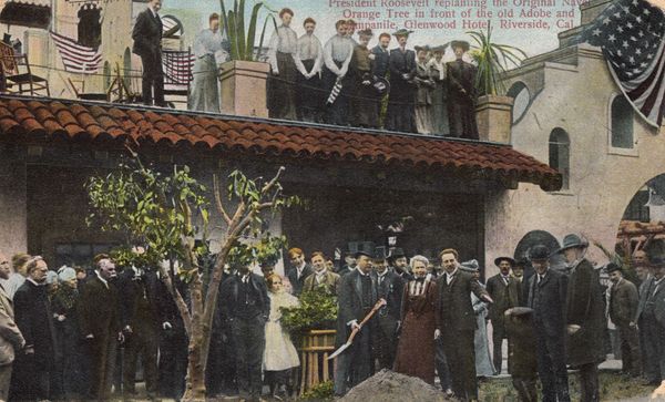 When Teddy Came to Riverside