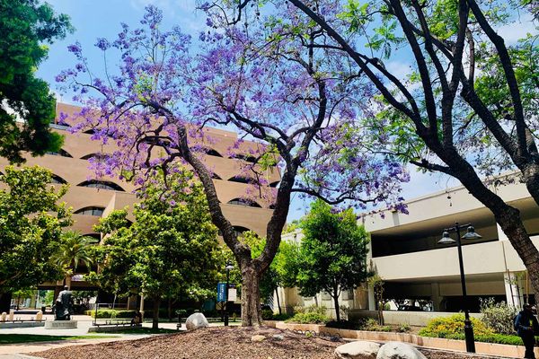 This Week in City Hall: July 18, 2023