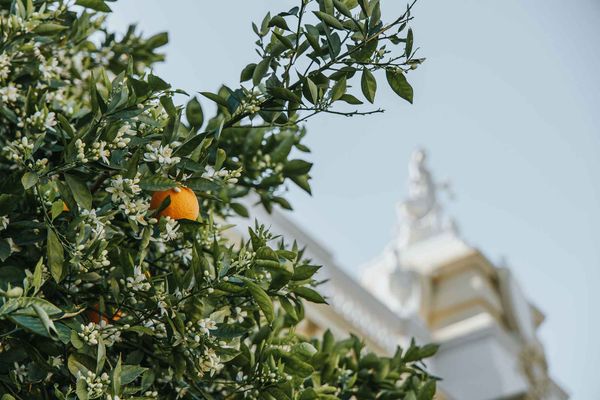 Legal Update: Appeals Court Rules, Whistleblower Settlements, and New Misconduct Rules