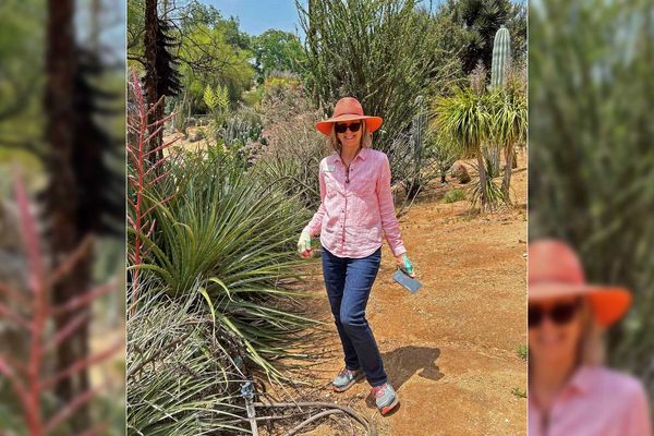 Garden Director's Hemet lecture will celebrate 60 years of UC Riverside's Botanic Gardens