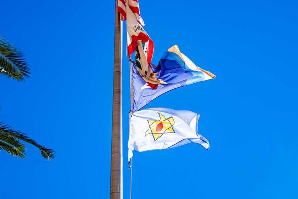 This Week in City Hall: January 29, 2024