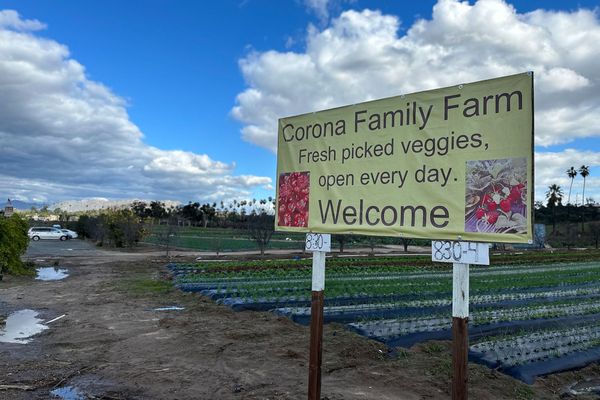 Eat This, Riverside: Fresh strawberries from Corona Family Farm - they may not be around forever!