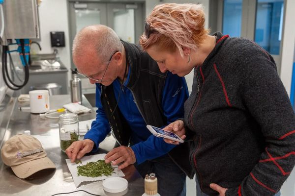 UC Riverside Extension Center launches cannabis product design certificate