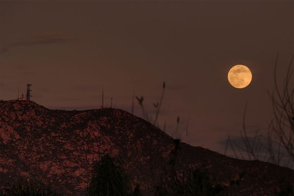 How to Adjust to Daylight Saving Time