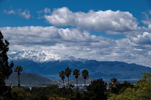 Earth Day activities set sights on ecology and the environment