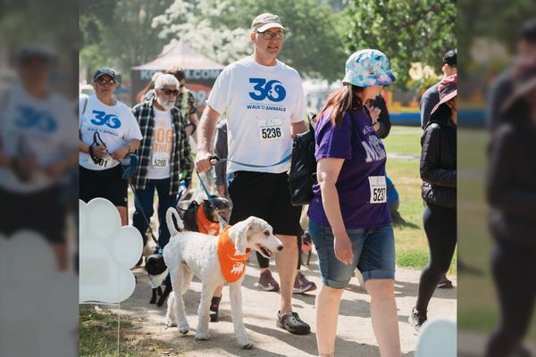 32nd Annual Walk With the Animals is more than just a stroll through the park