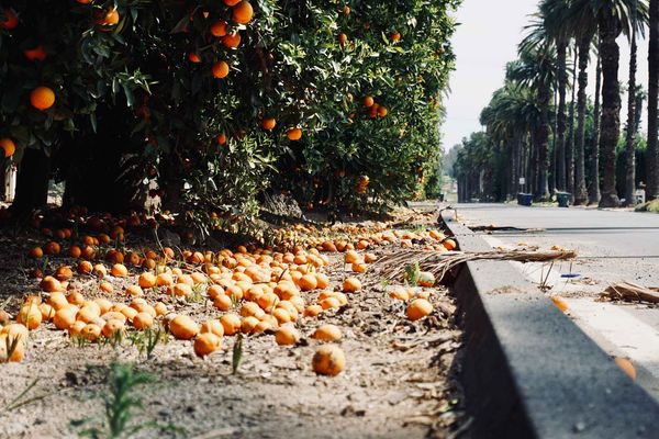 Naturally Riverside: A Tale of Two Quarantines