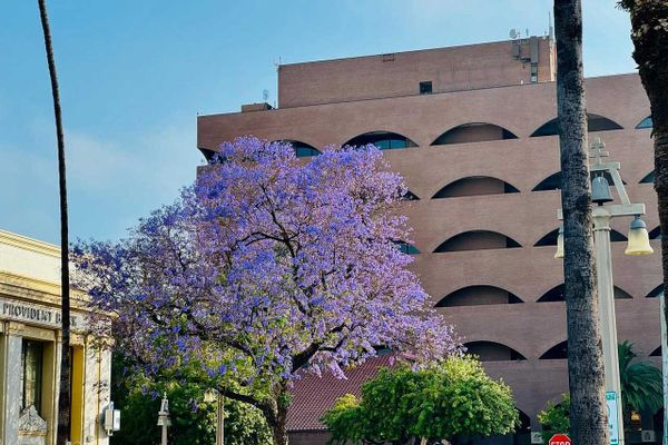 This Week in City Hall: June 24, 2024