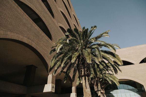 This Week in City Hall: June 17, 2024