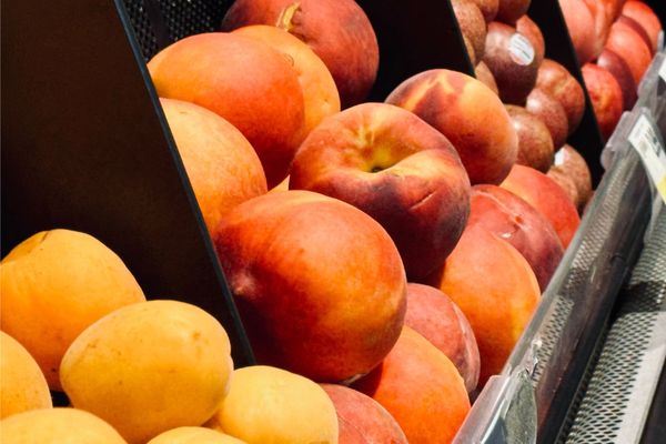 Stone Fruit Loop