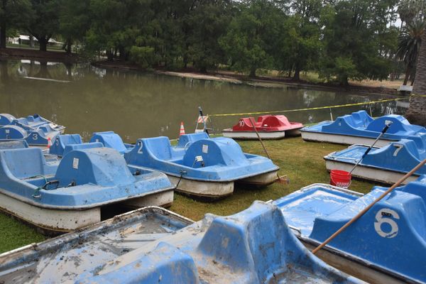 THE BOATS ARE BACK!